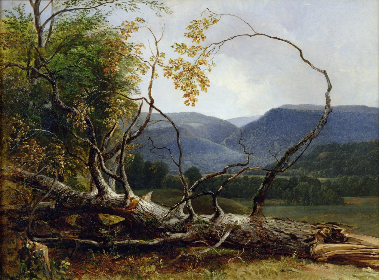 Studie fra Nature, Stratton Notch, Vermont, 1853 af Asher Brown Durand
