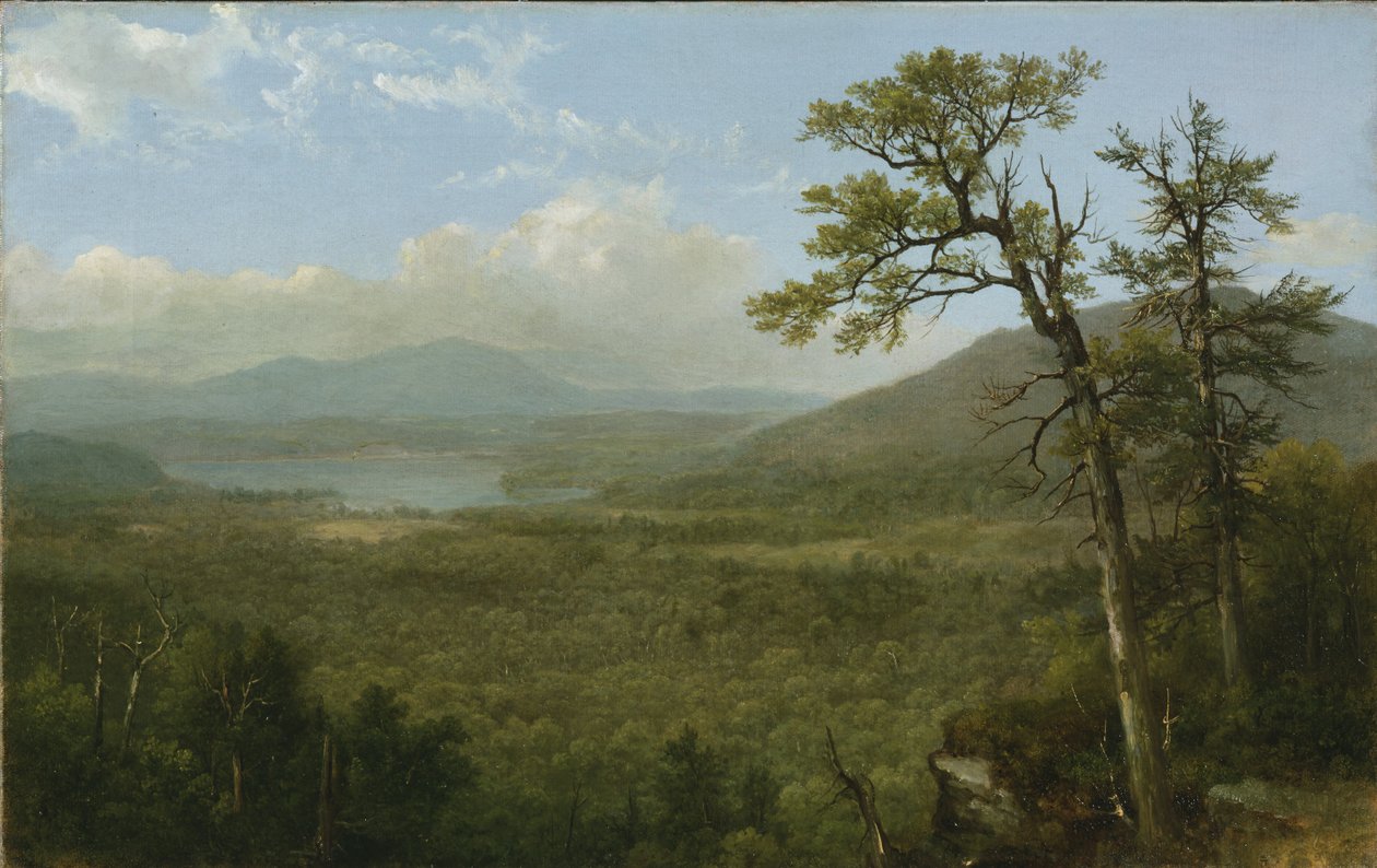 Adirondack Mountains, N.Y., 1870 af Asher Brown Durand