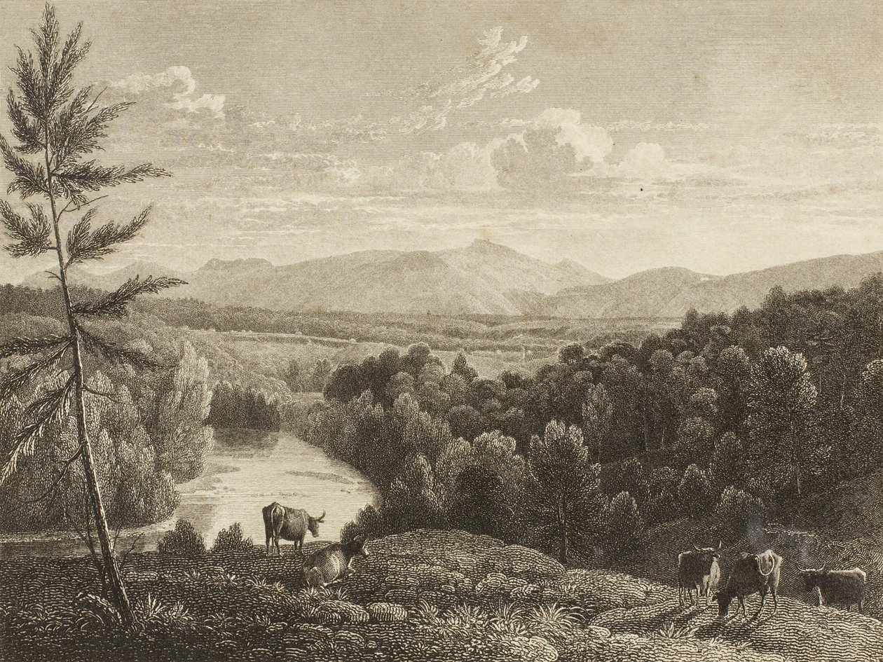 Catskill-bjergene af Asher Brown Durand