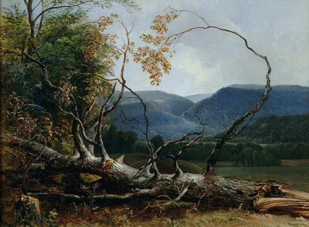 Stratton Notch, Vermont af Asher Brown Durand