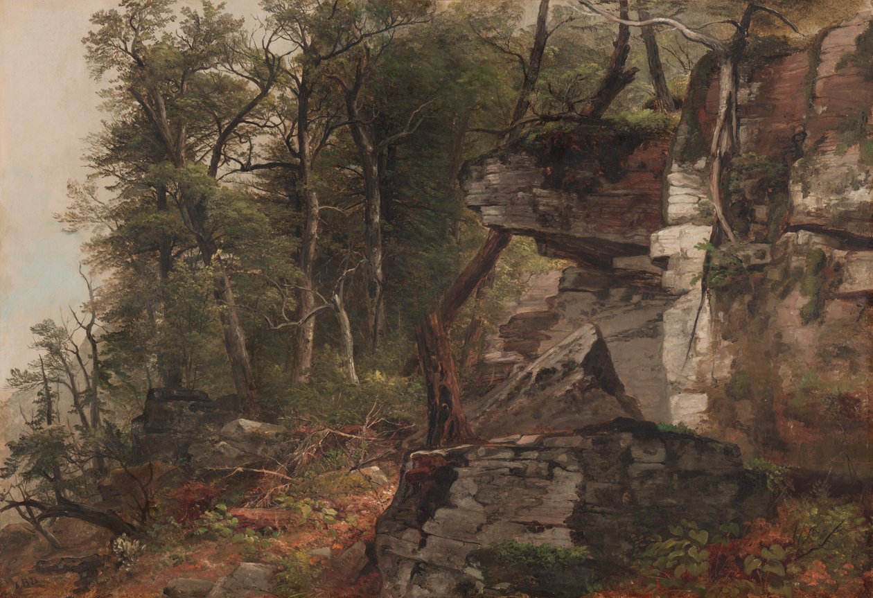Træer på en klippeskråning af Asher Brown Durand