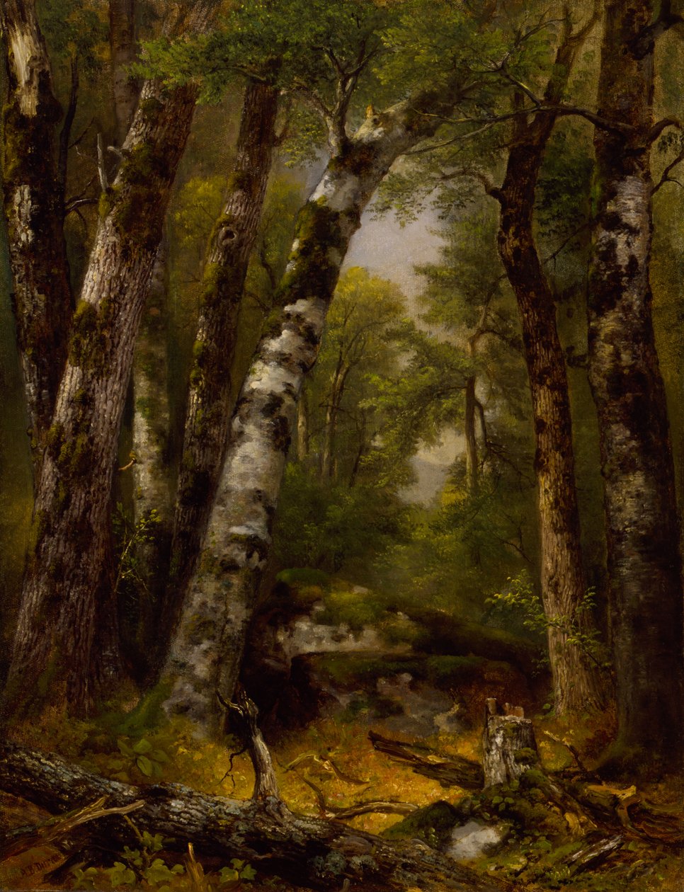 Woodland Glen, ca. 1850-1855. af Asher Brown Durand