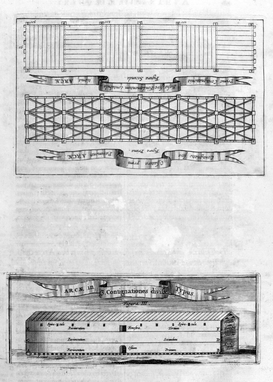 Arca Noe af Athanasius Kircher