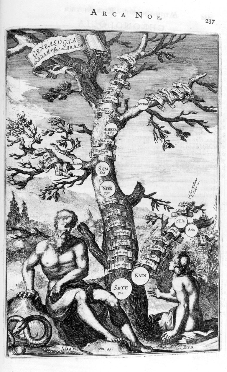 Adams slægtstræ, 1675. af Athanasius Kircher