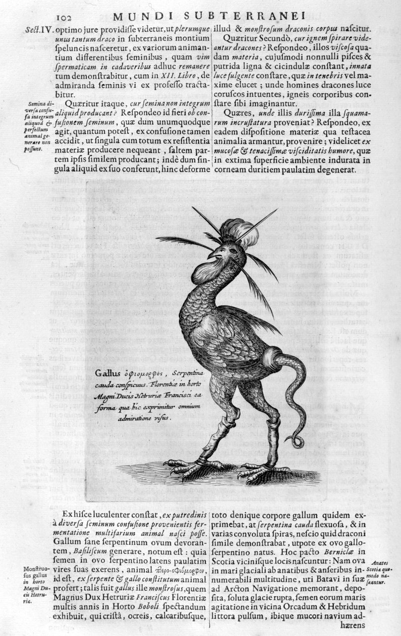 Mytiske skabninger, 1678. af Athanasius Kircher