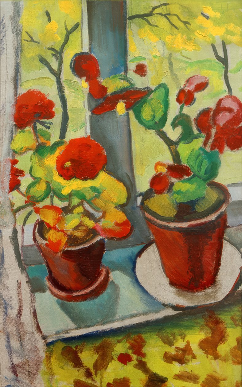 Blomster ved vinduet (begonia i potter I) af August Macke