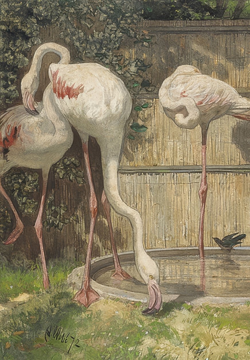 Tre flamingoer ved en vandpøl. 1872 af August Allebe