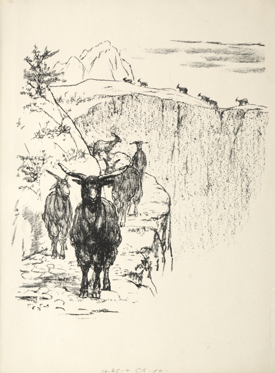 Geder af August Gaul