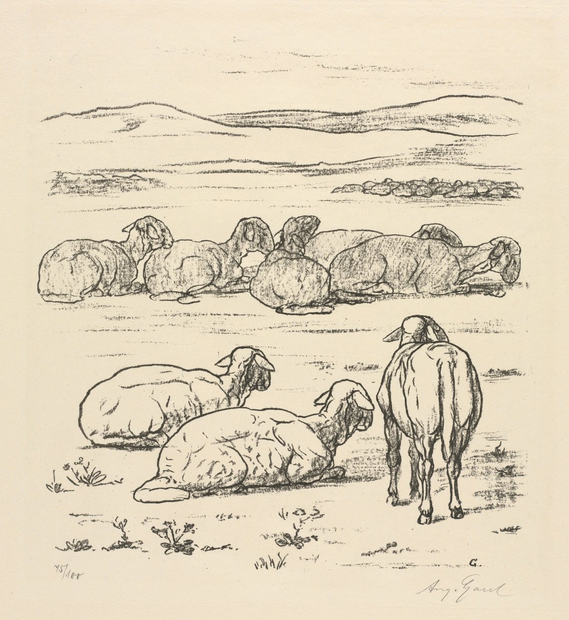 Får af August Gaul