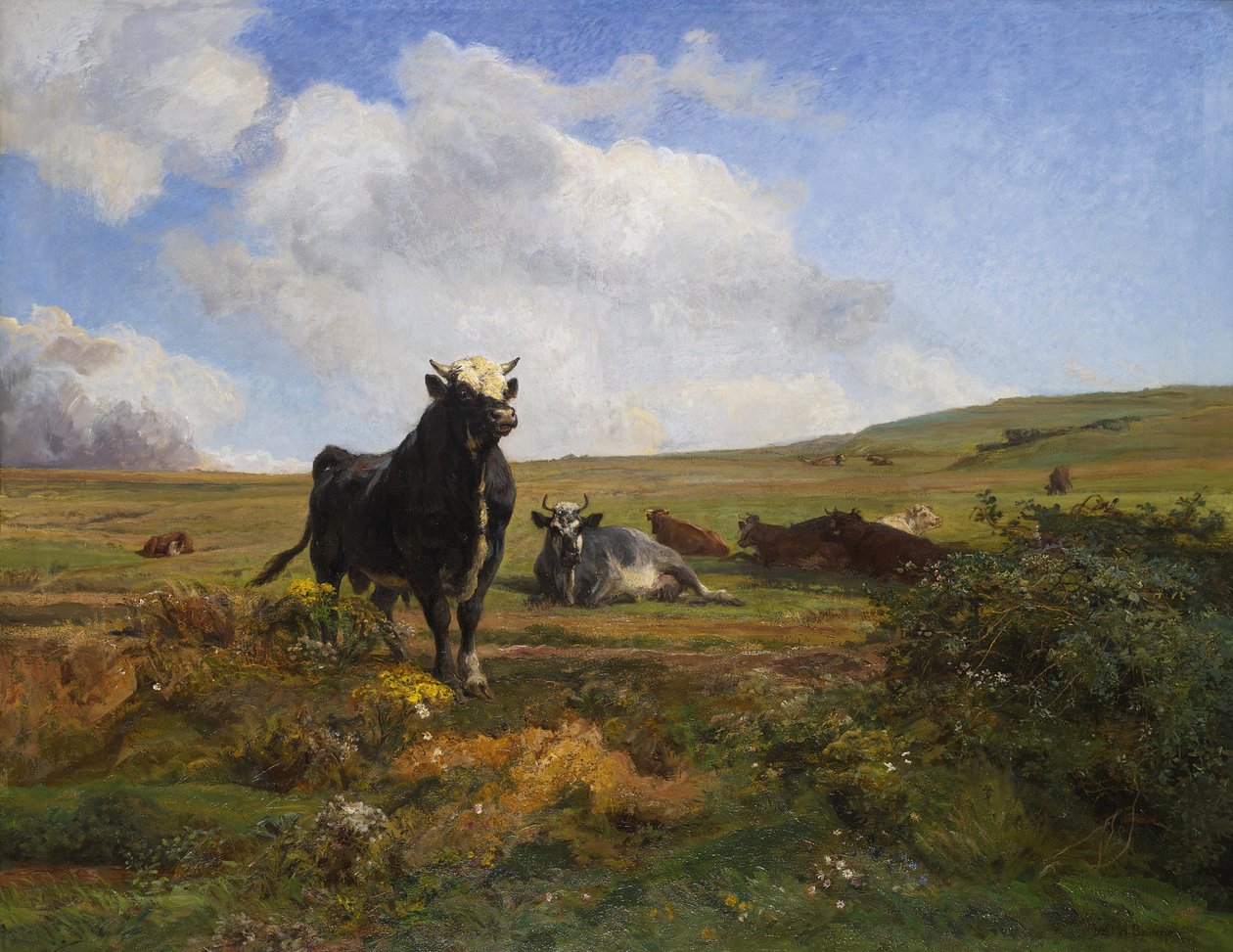 Leder af besætningen af Auguste Francois Bonheur