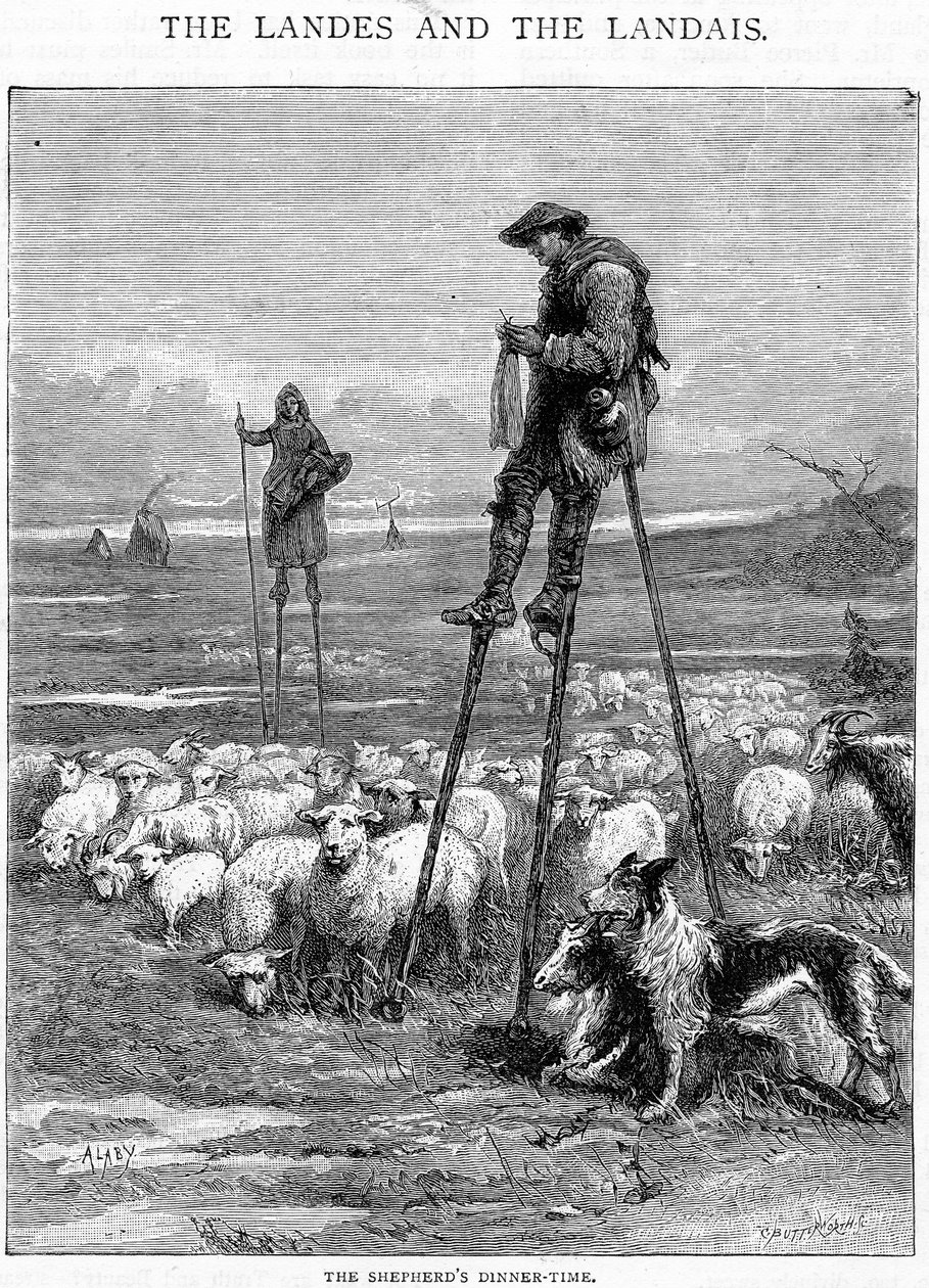 The Shepherd