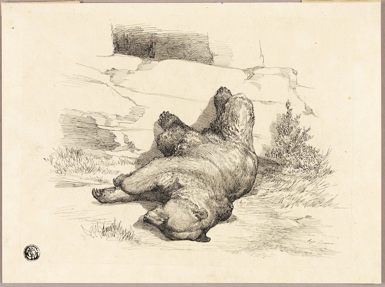 Russisk bjørn af Auguste Andre Lancon