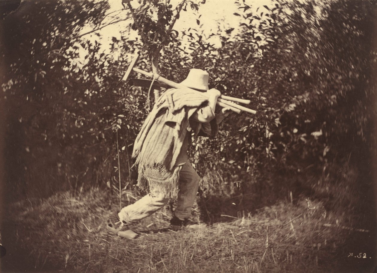 Bonde, ca. 1870 (foto) af Auguste Giraudon