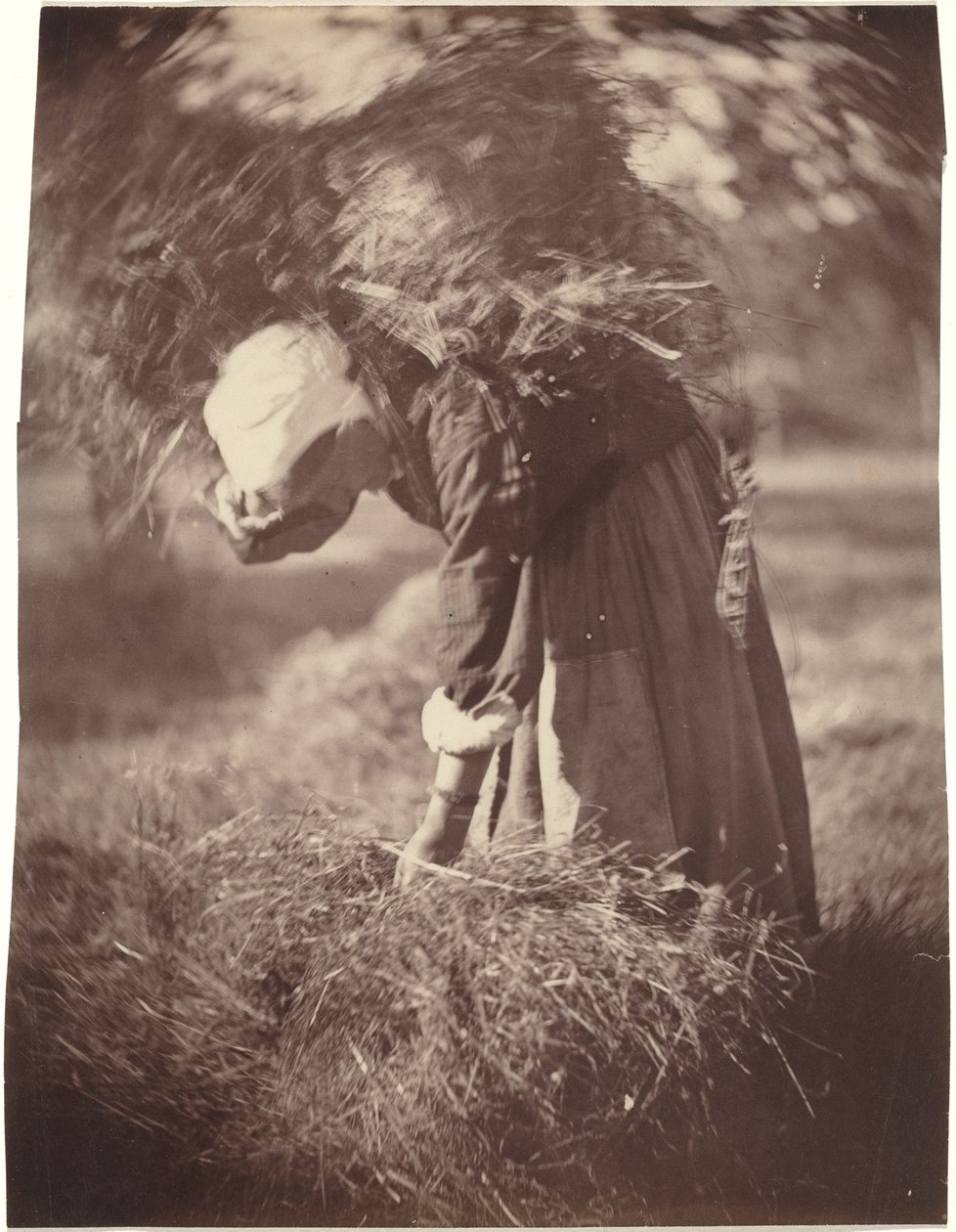 Bonde, ca. 1870 (foto) af Auguste Giraudon