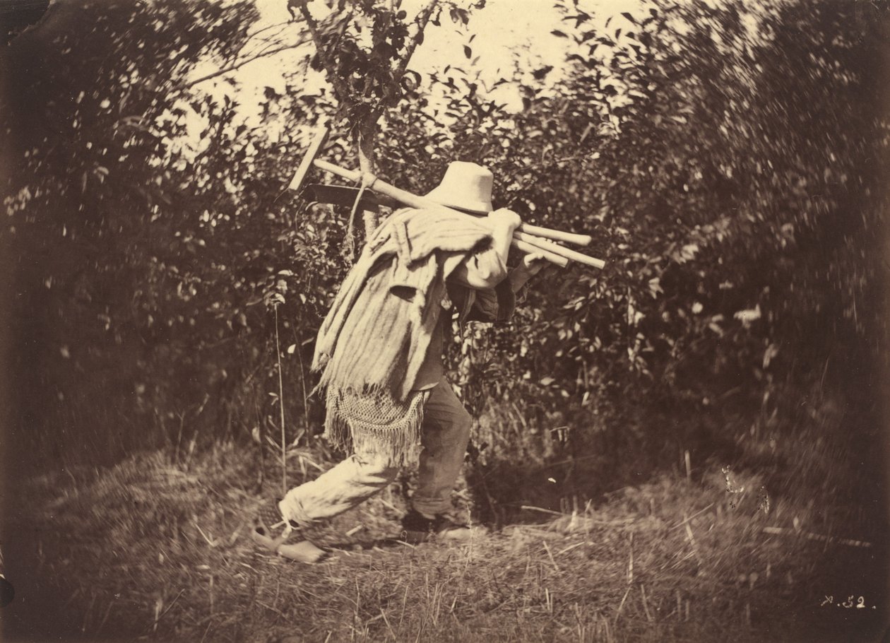 Bonde af Auguste Giraudon