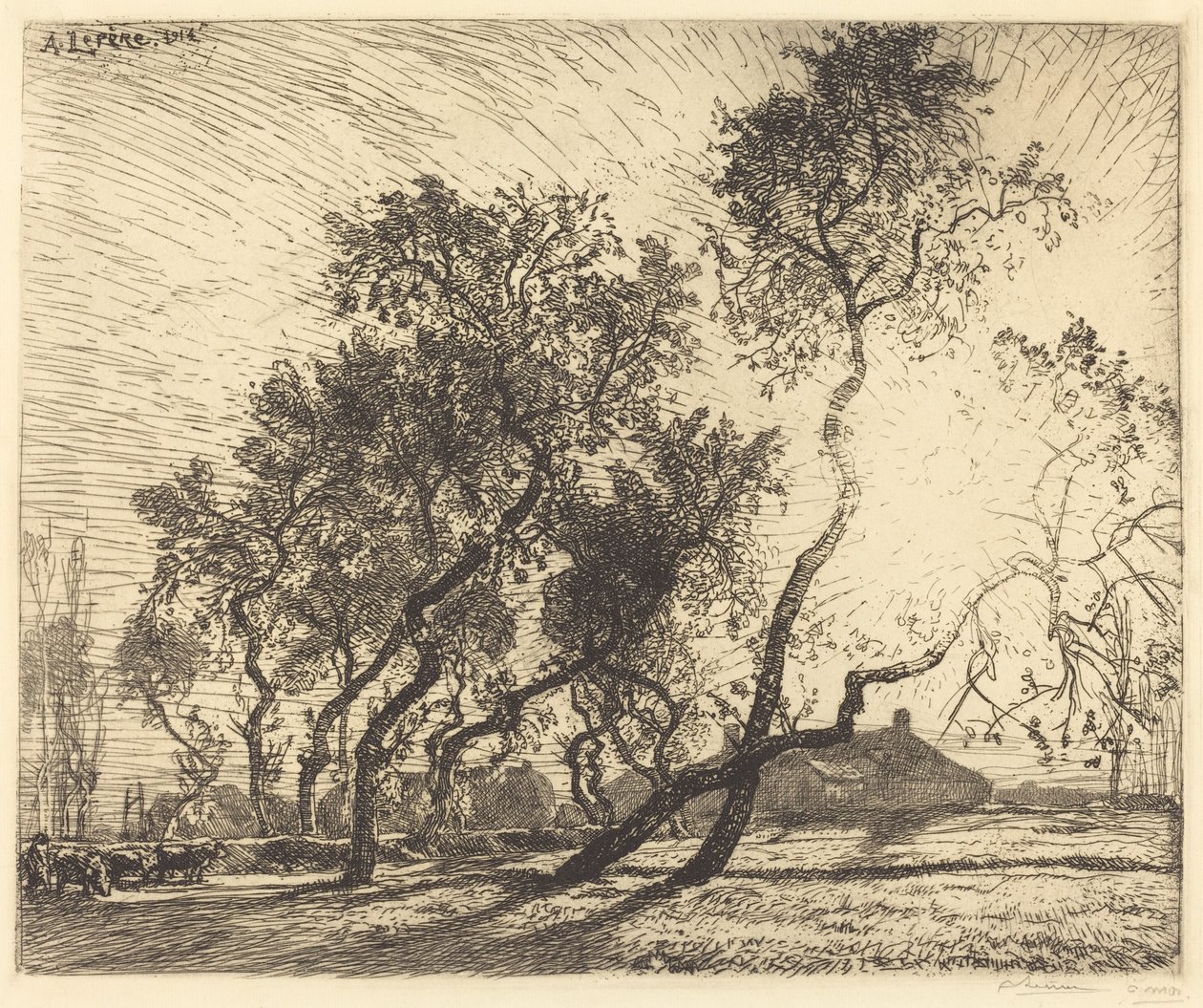 Holland Poplar Farm af Auguste Lepere
