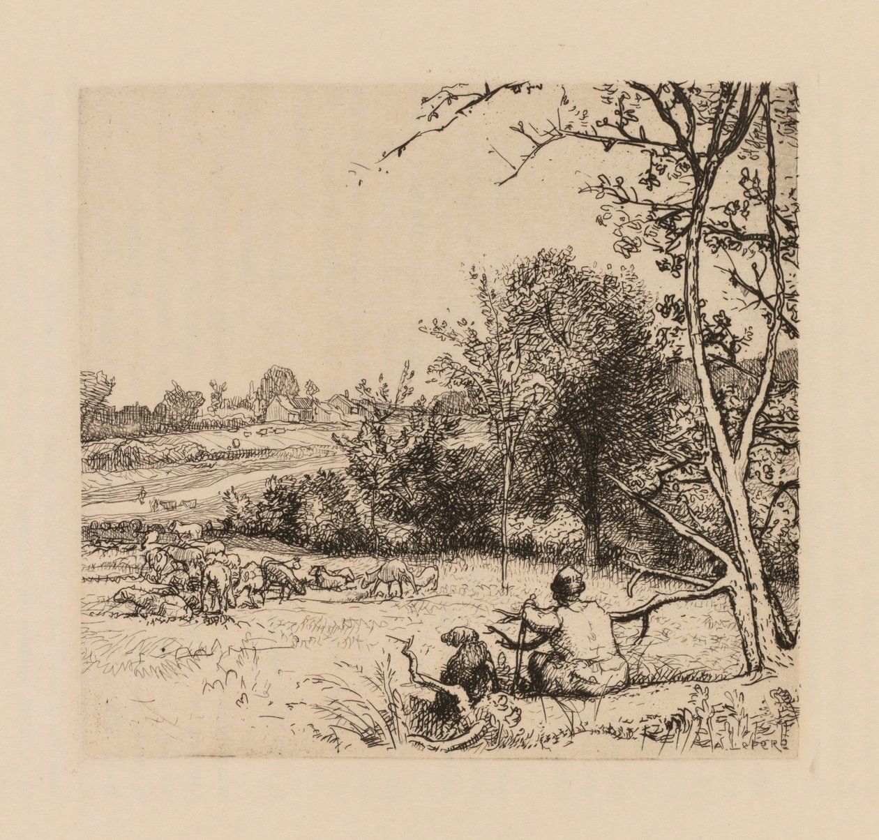Auguste Lepère: Det væltede æbletræ Picardie. af Auguste Louis Lepère
