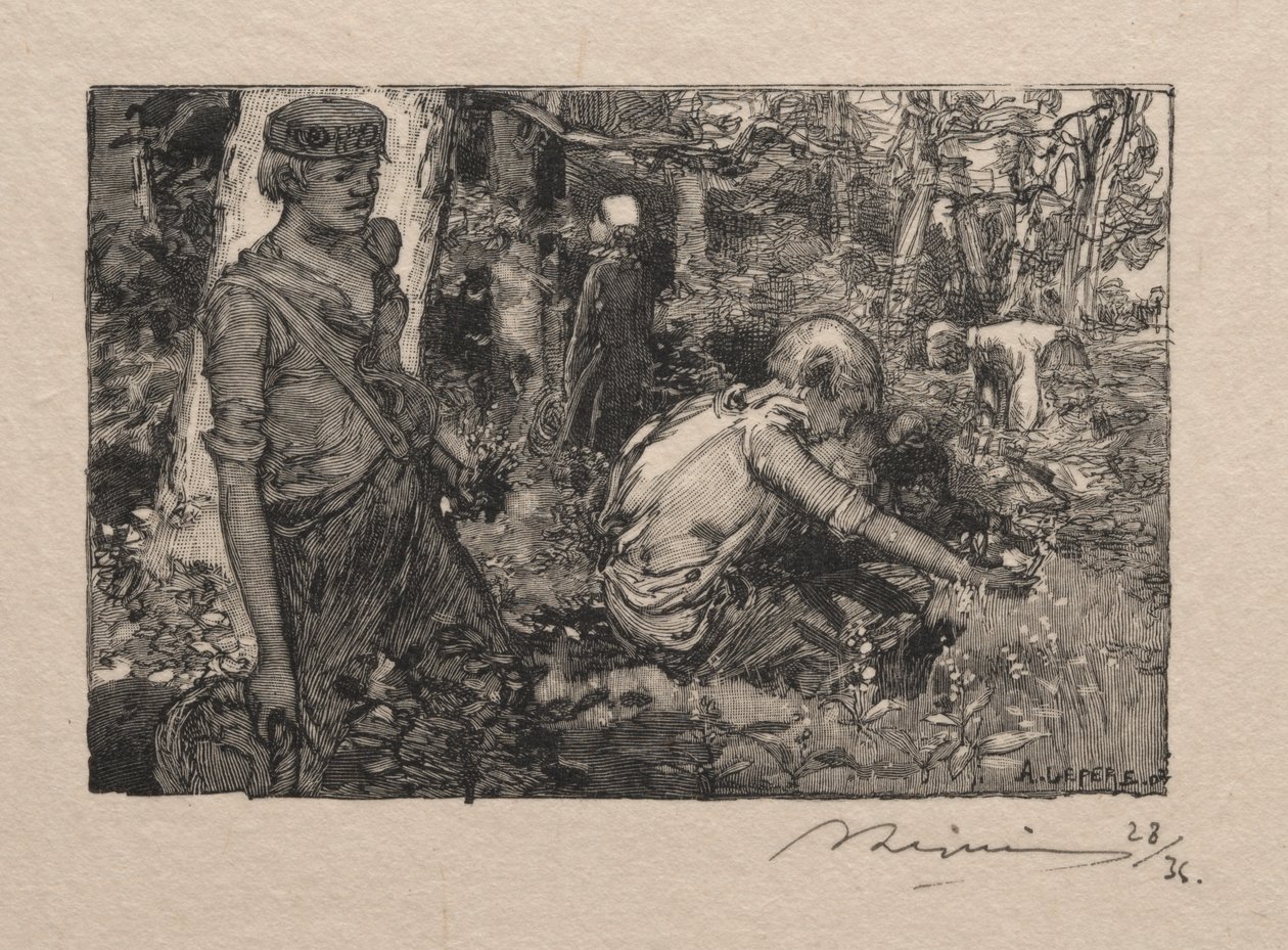 Plukker liljekonval af Auguste Louis Lepère