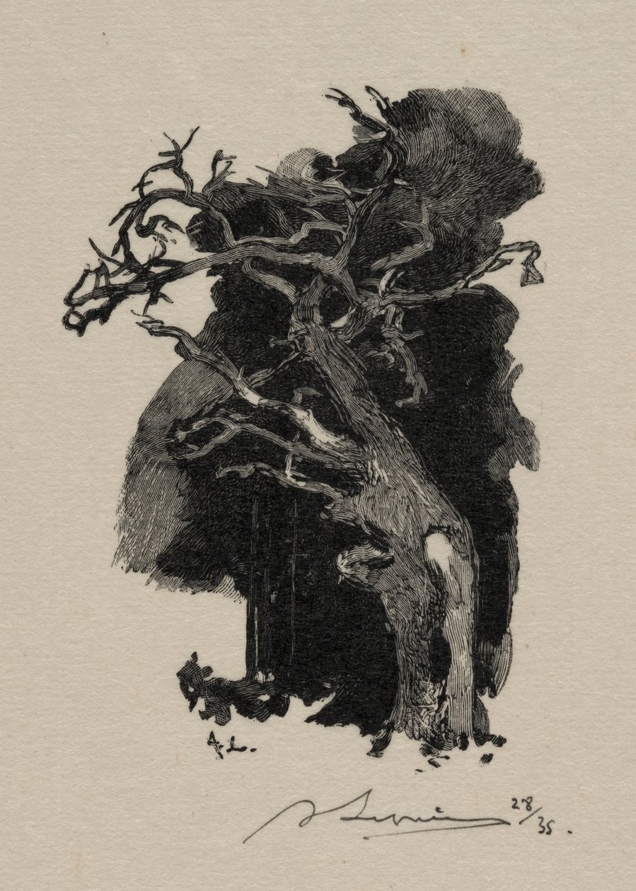 Rager. af Auguste Louis Lepère
