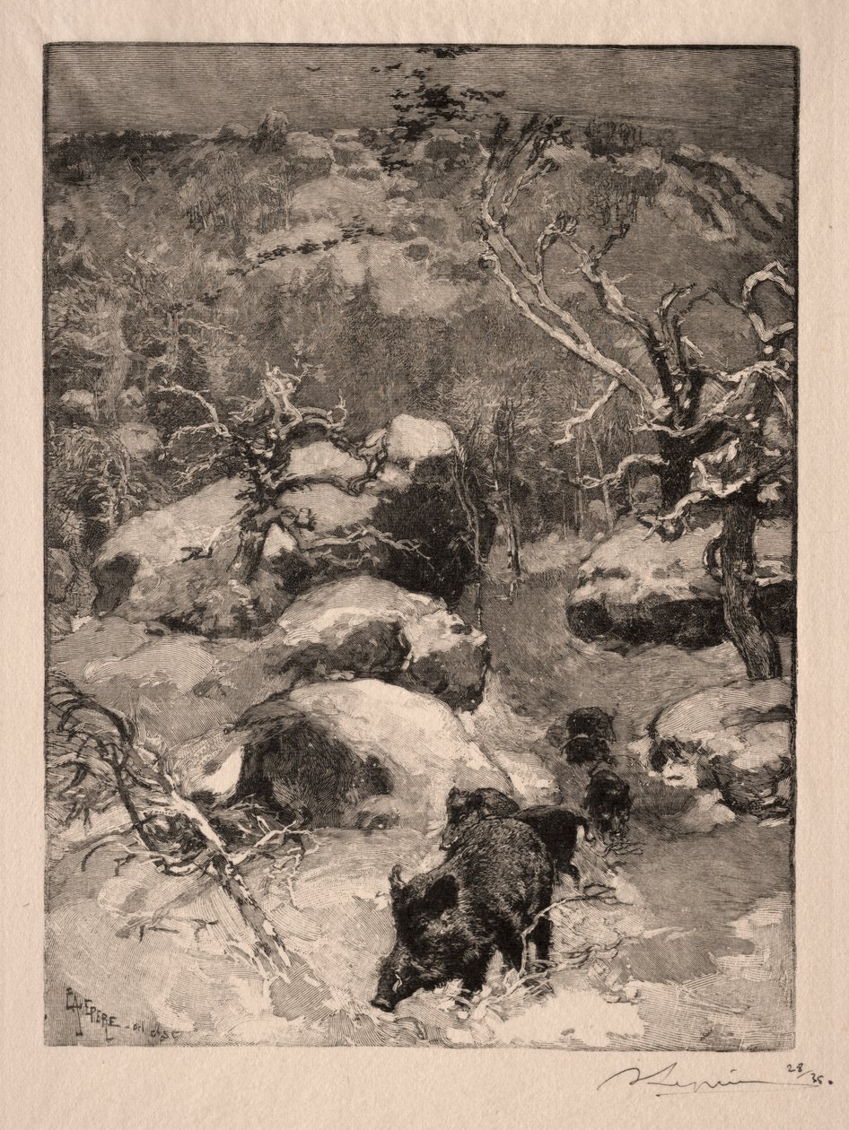 Roche Cuvier Chatillon af Auguste Louis Lepère