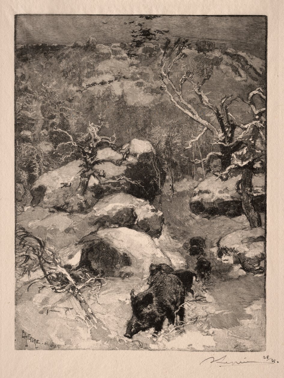 Roche Cuvier Chatillon, 1887. af Auguste Louis Lepère