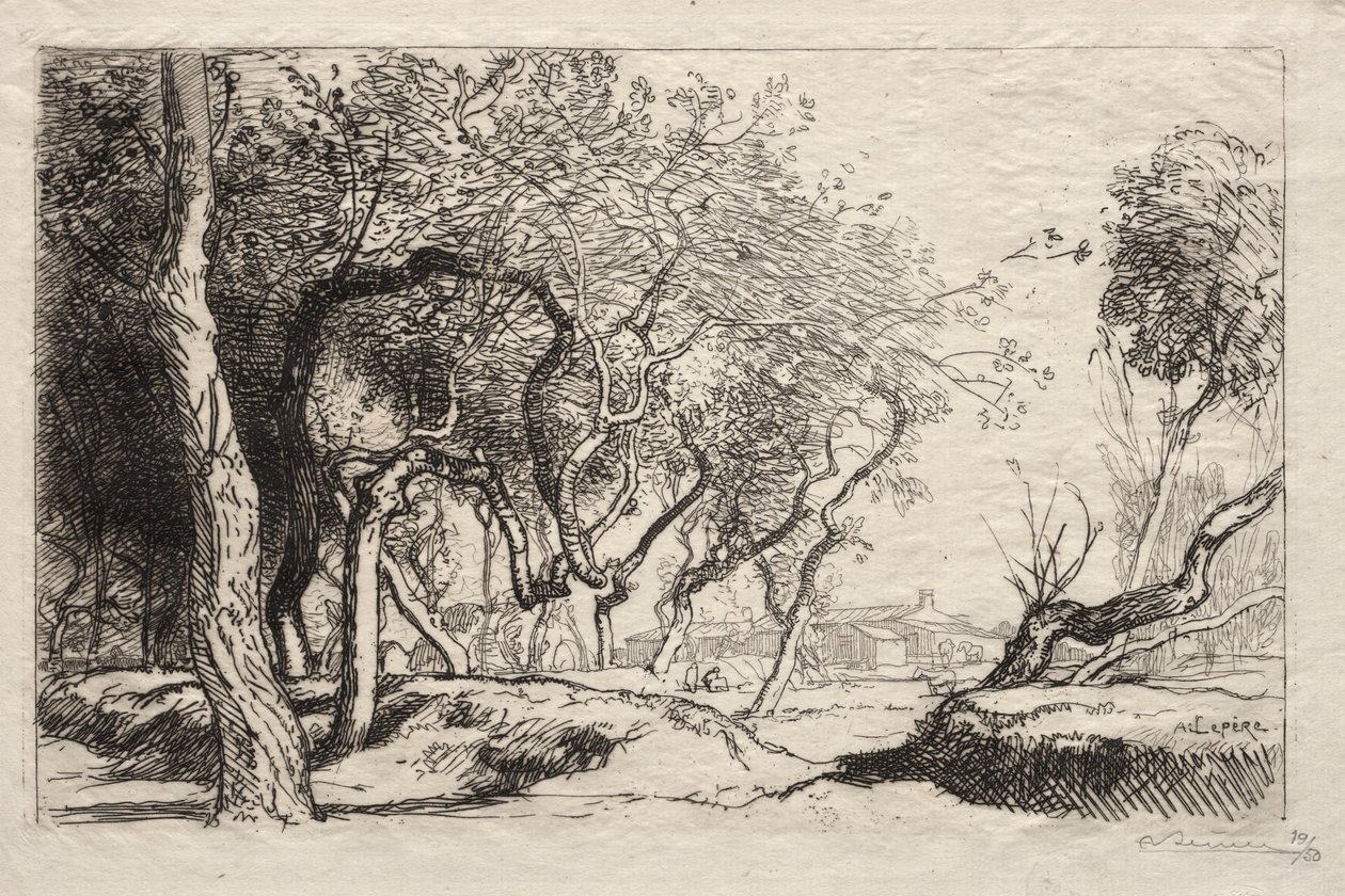 Det snoede træ, 1915. af Auguste Louis Lepère