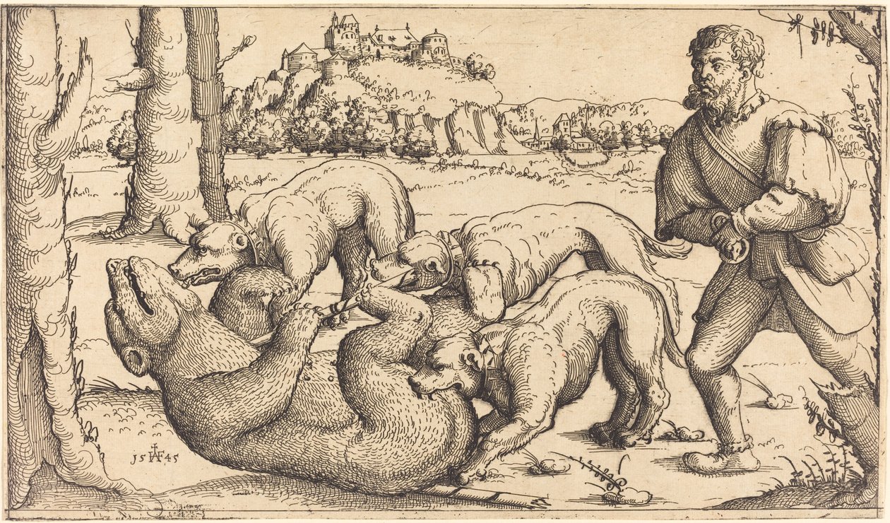 Bjørnejagt, 1545. af Augustin Hirschvogel
