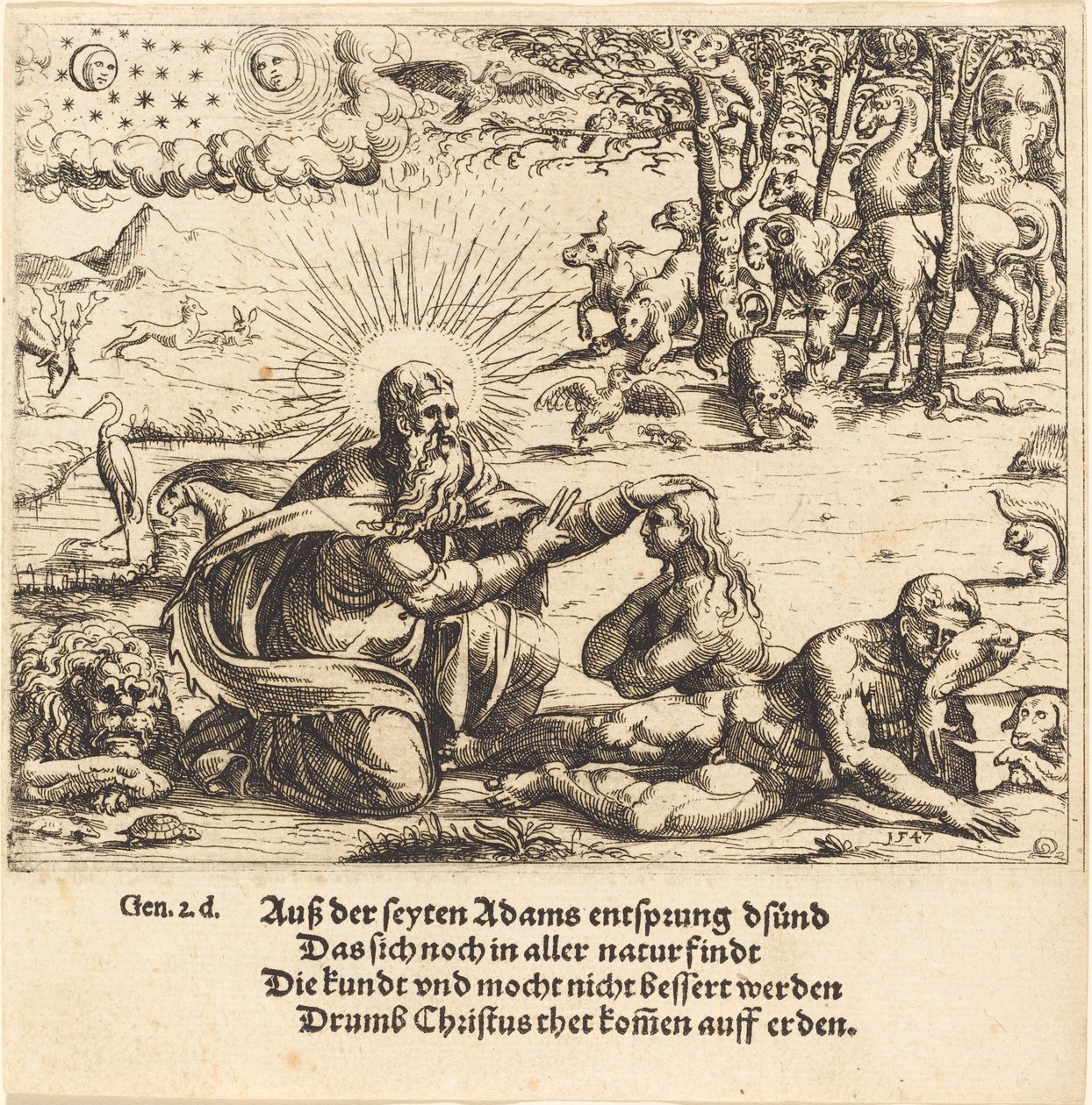 Evas skabelse af Augustin Hirschvogel