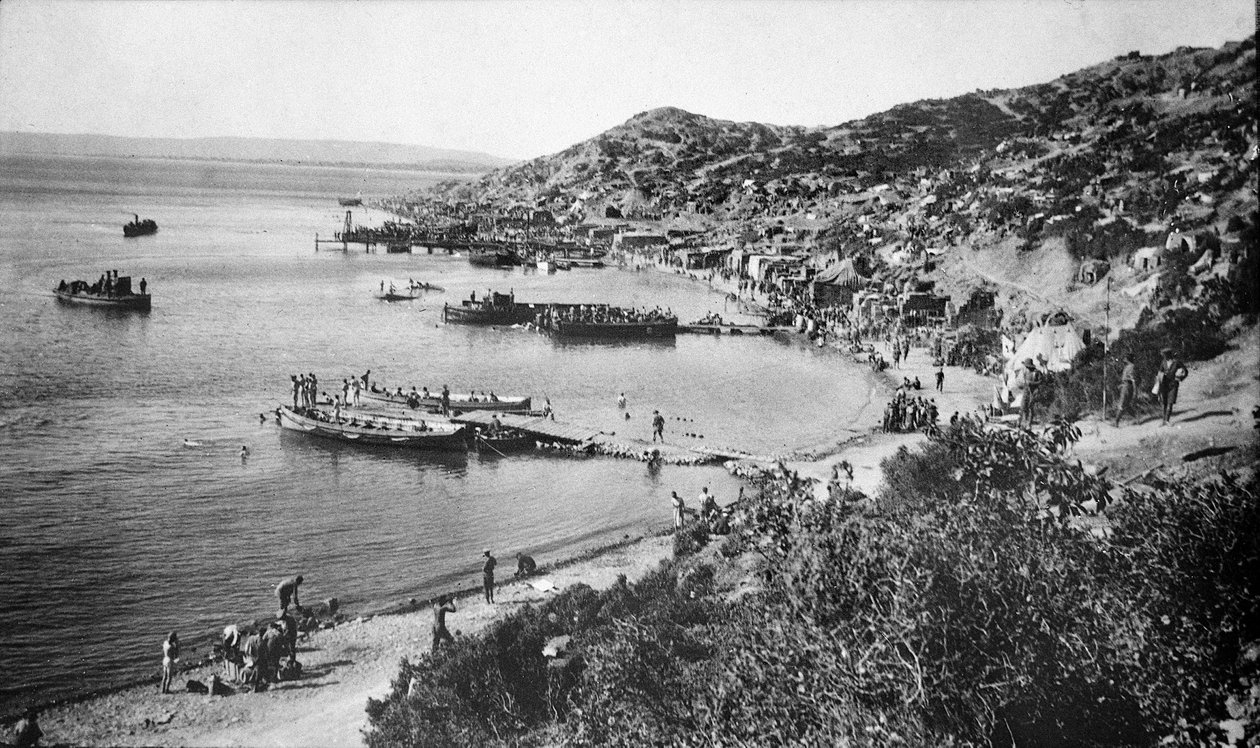 Udsigt over Anzac Cove, Gallipoli, 1915 af Australian Photographer