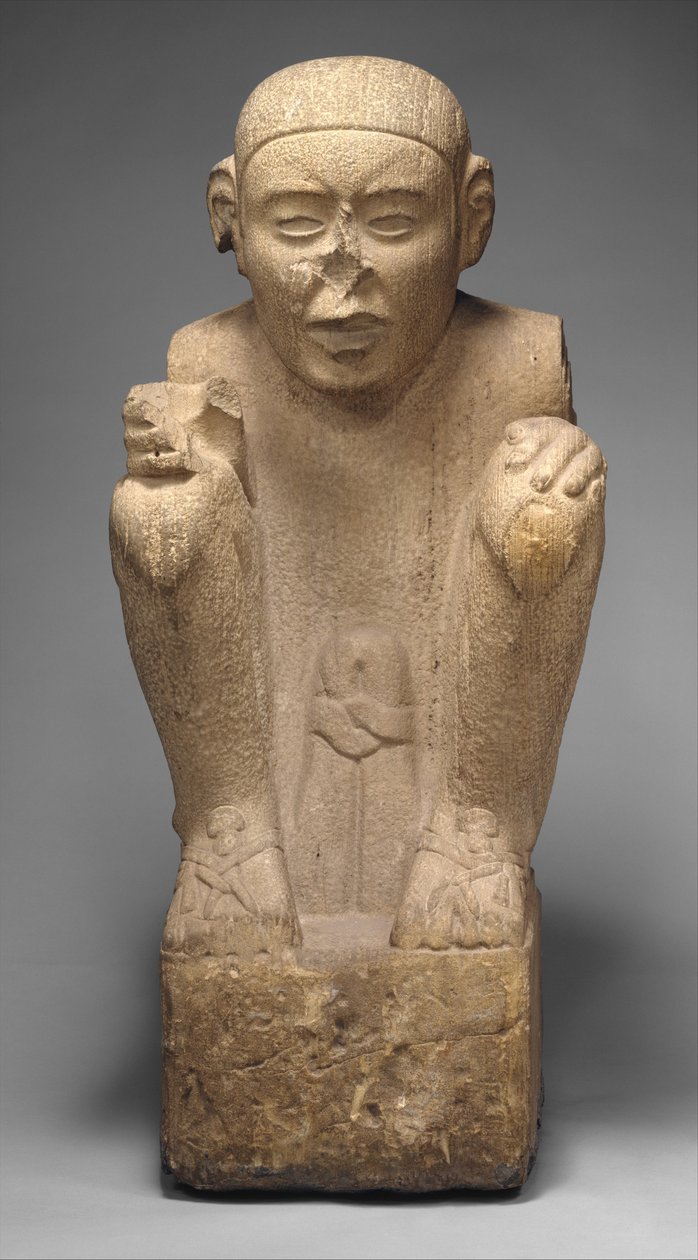 Fanebærer af Aztec