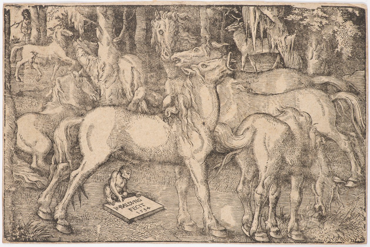 Gruppe af syv heste, 1534. af Baldung