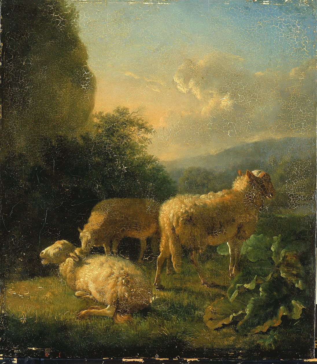 Får af Balthasar Paul Ommeganck