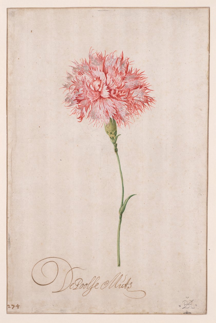 Den polske hat af Balthasar van der Ast