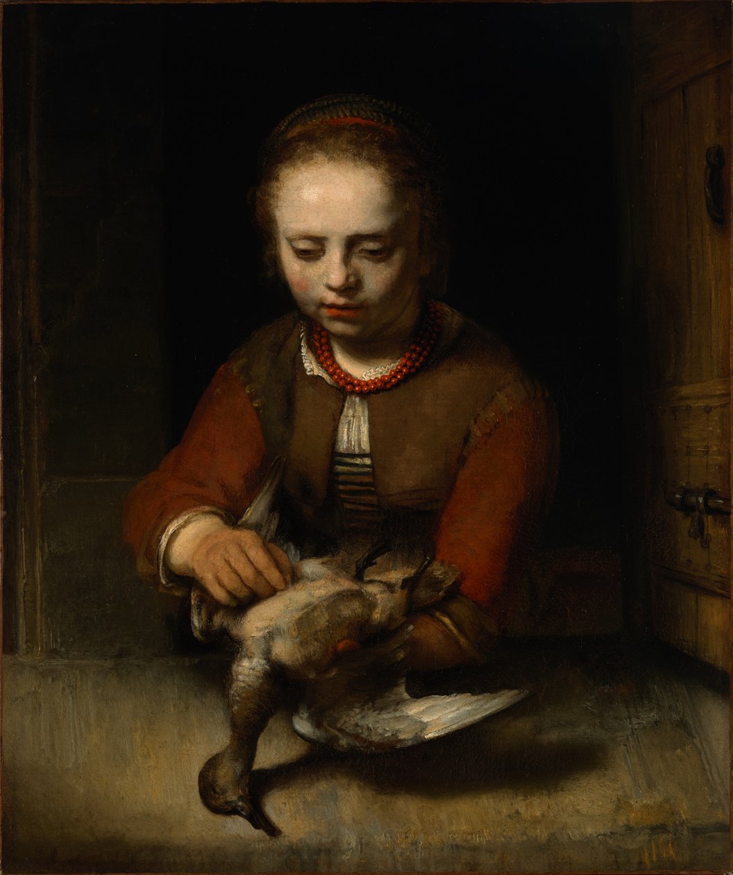 Ung pige, der plukker en and af Barent Fabritius