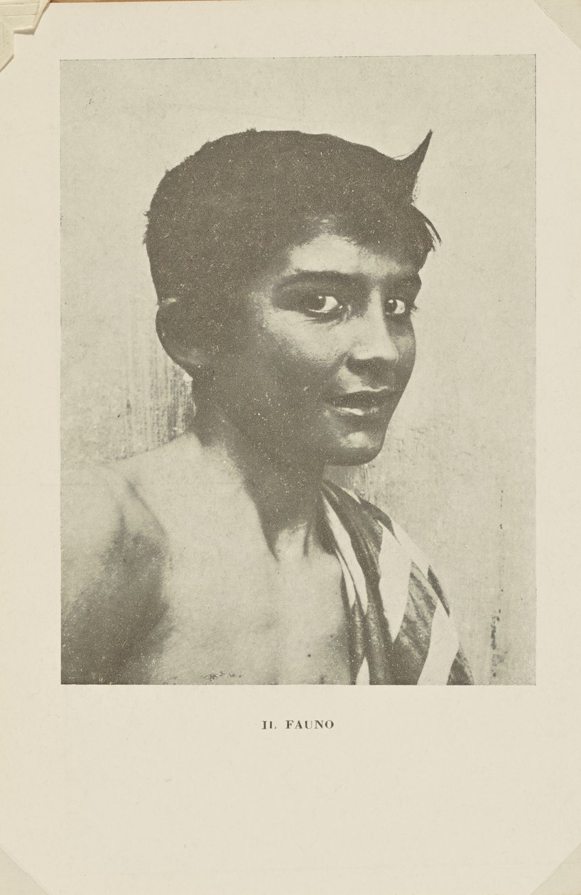 Faunen af Baron Wilhelm von Gloeden