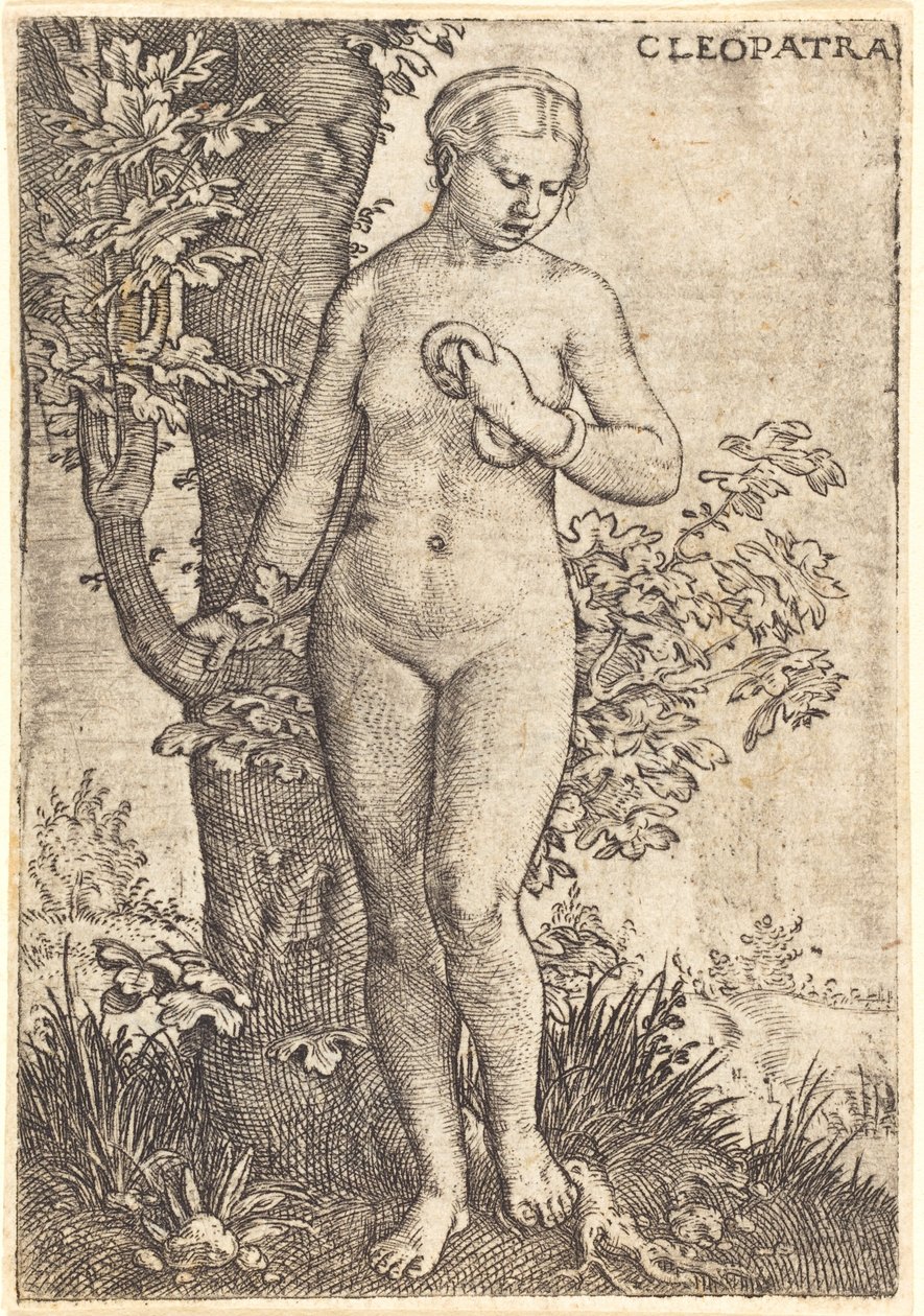 Kleopatra af Barthel Beham
