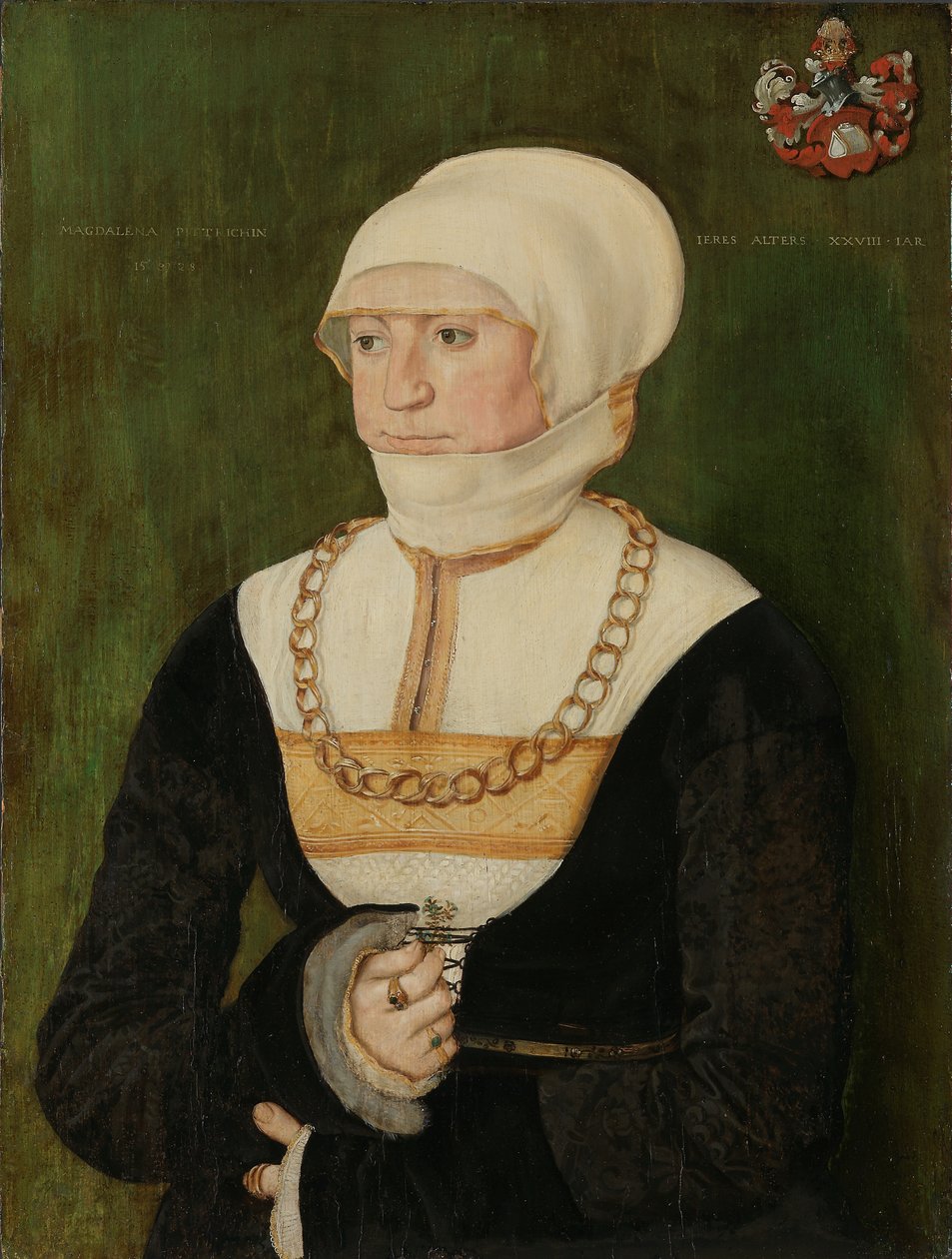 Portræt af Magdalena Pittrichin, 1528. af Barthel Beham