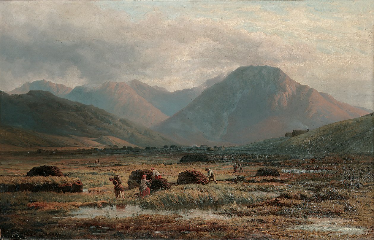 Tørvemose, Letterfrack, Connemara af Bartholomew Colles Watkins