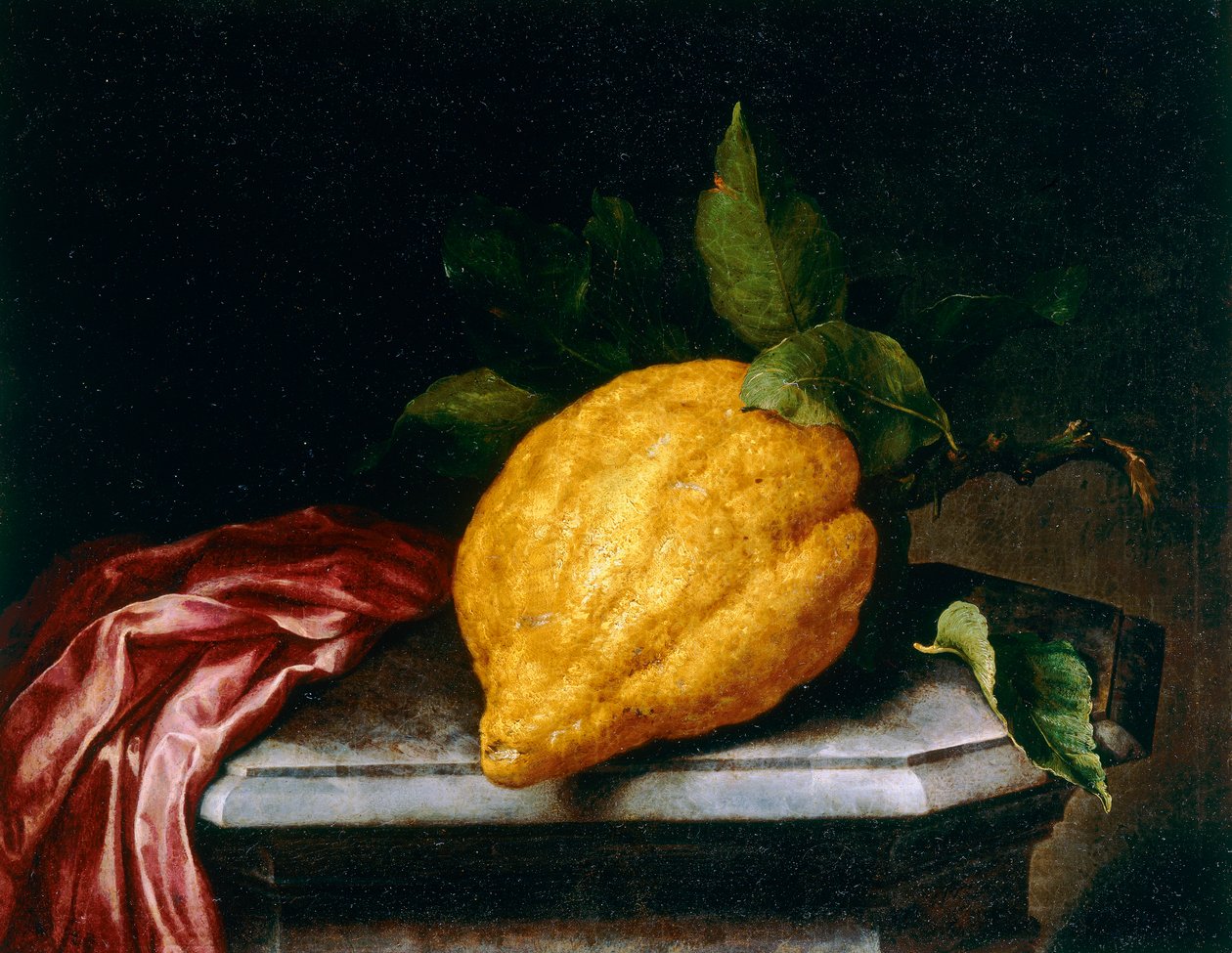 Citron af Bartolomeo Bimbi