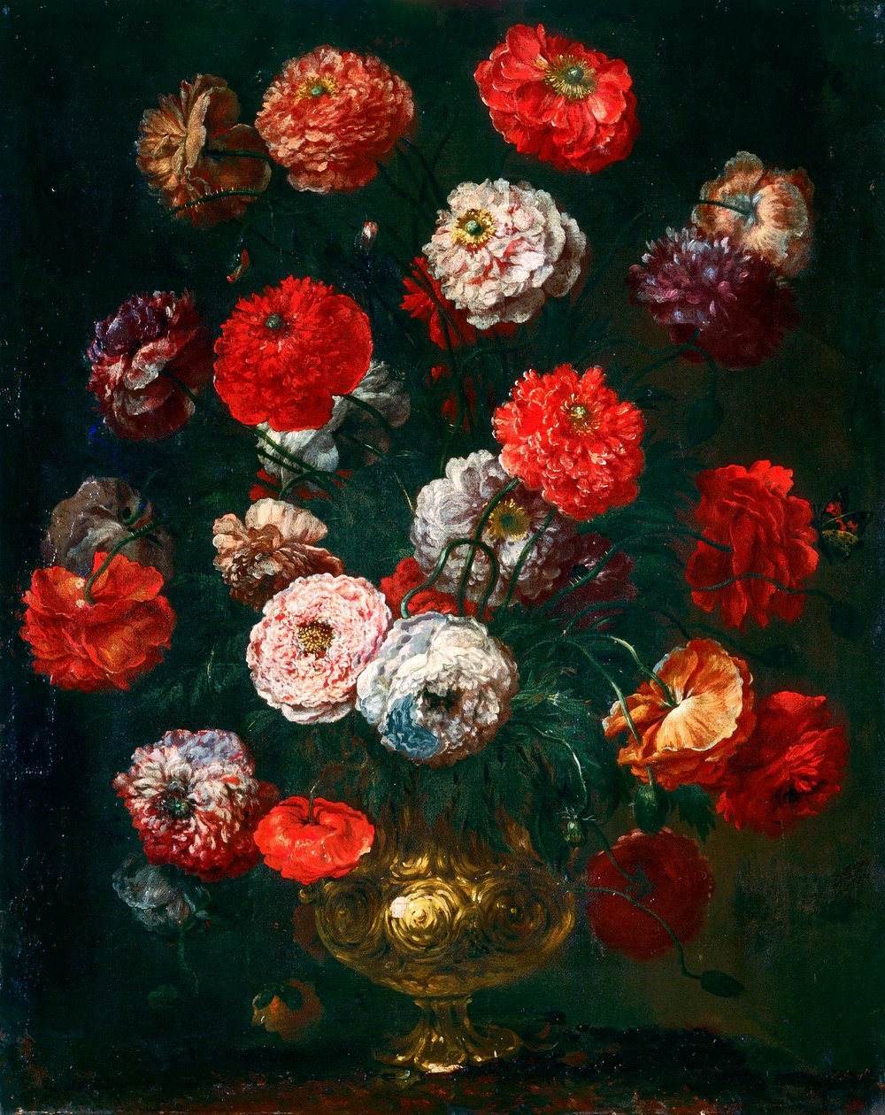 Majsvalmue af Bartolomeo Bimbi