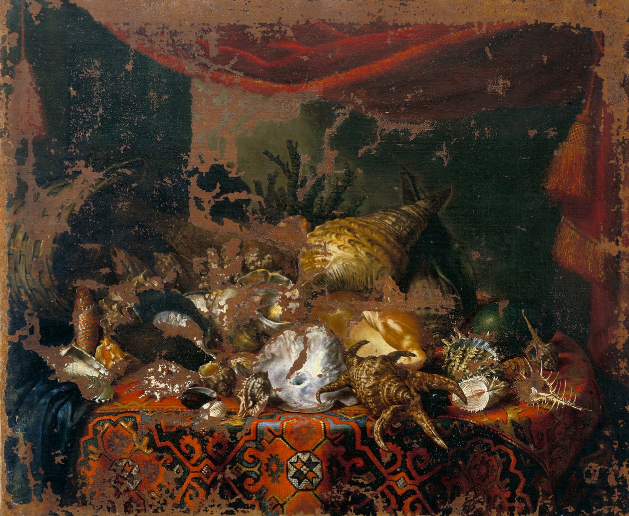Skaller af Bartolomeo Bimbi