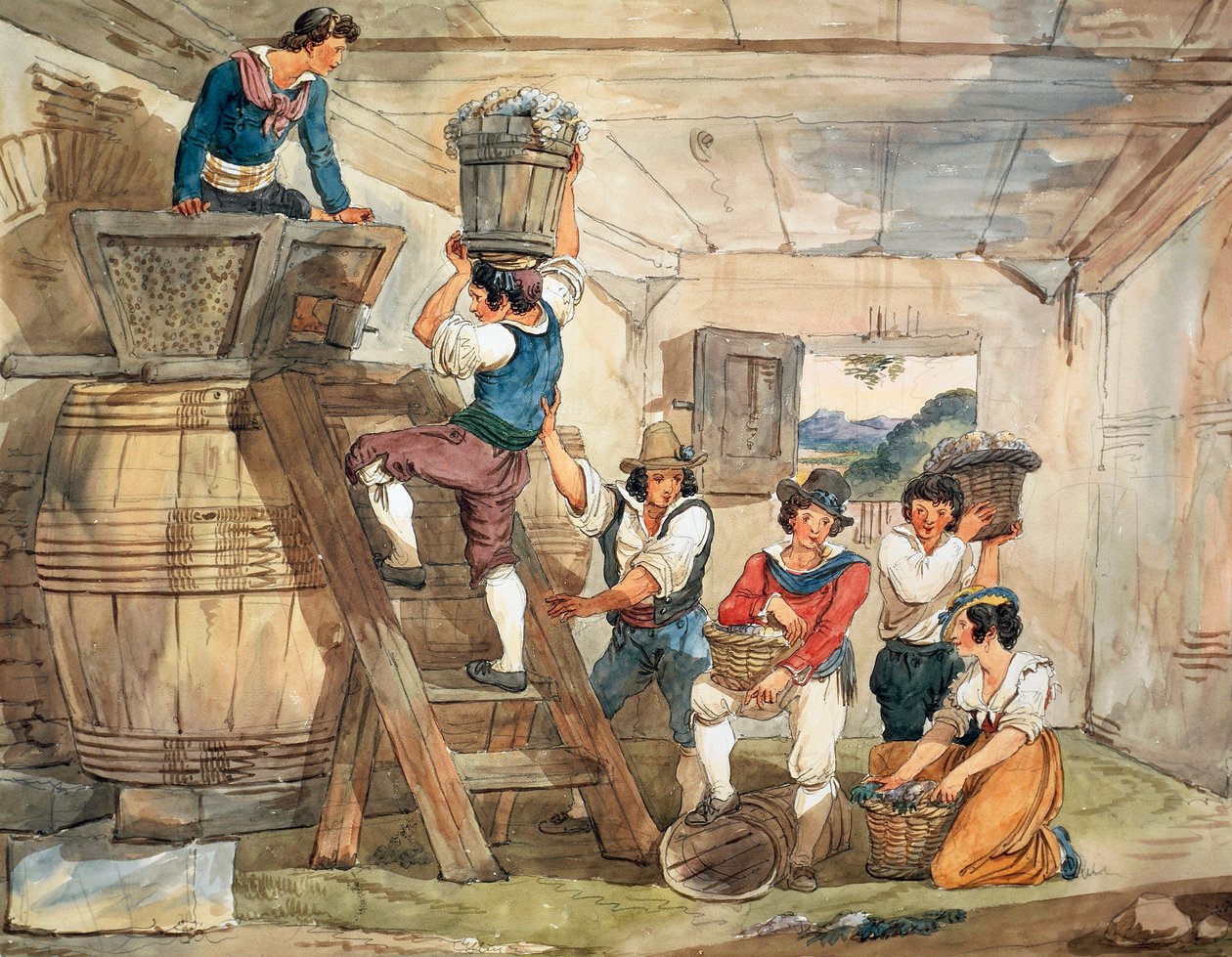 Høstmaskiner, der bringer druer til presning af Bartolomeo Pinelli