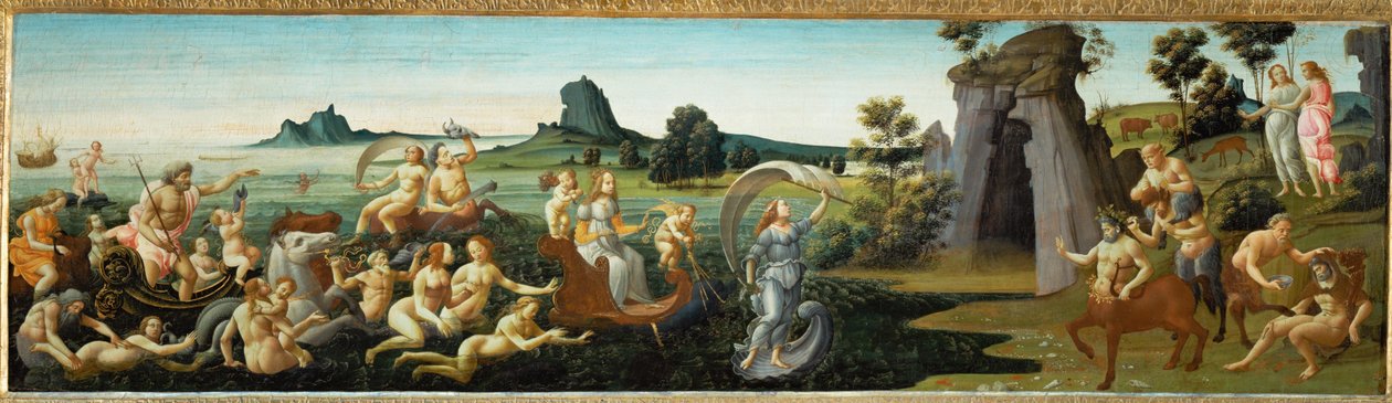 Thetis