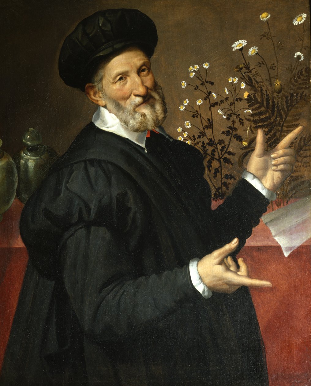 Botanikeren af Bartolommeo Passerotti