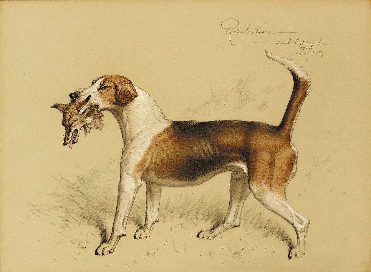 Gengældelse af Basil J. Nightingale