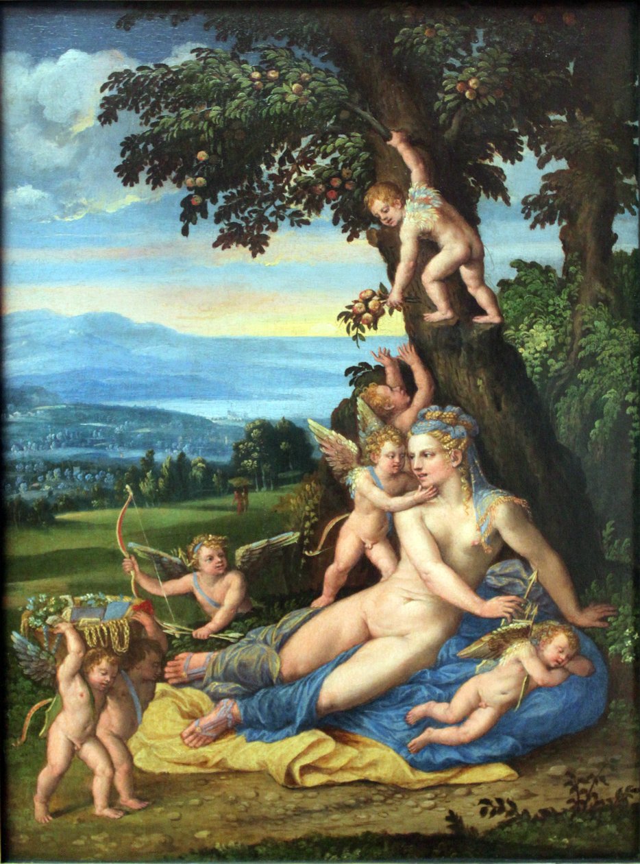 Venus og Amor af Battista Dossi