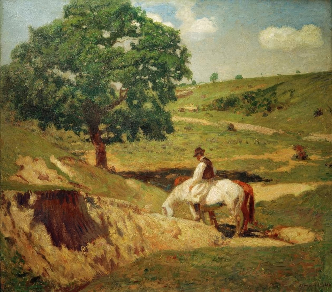 Blødgør af Bela Ivanyi Grunwald