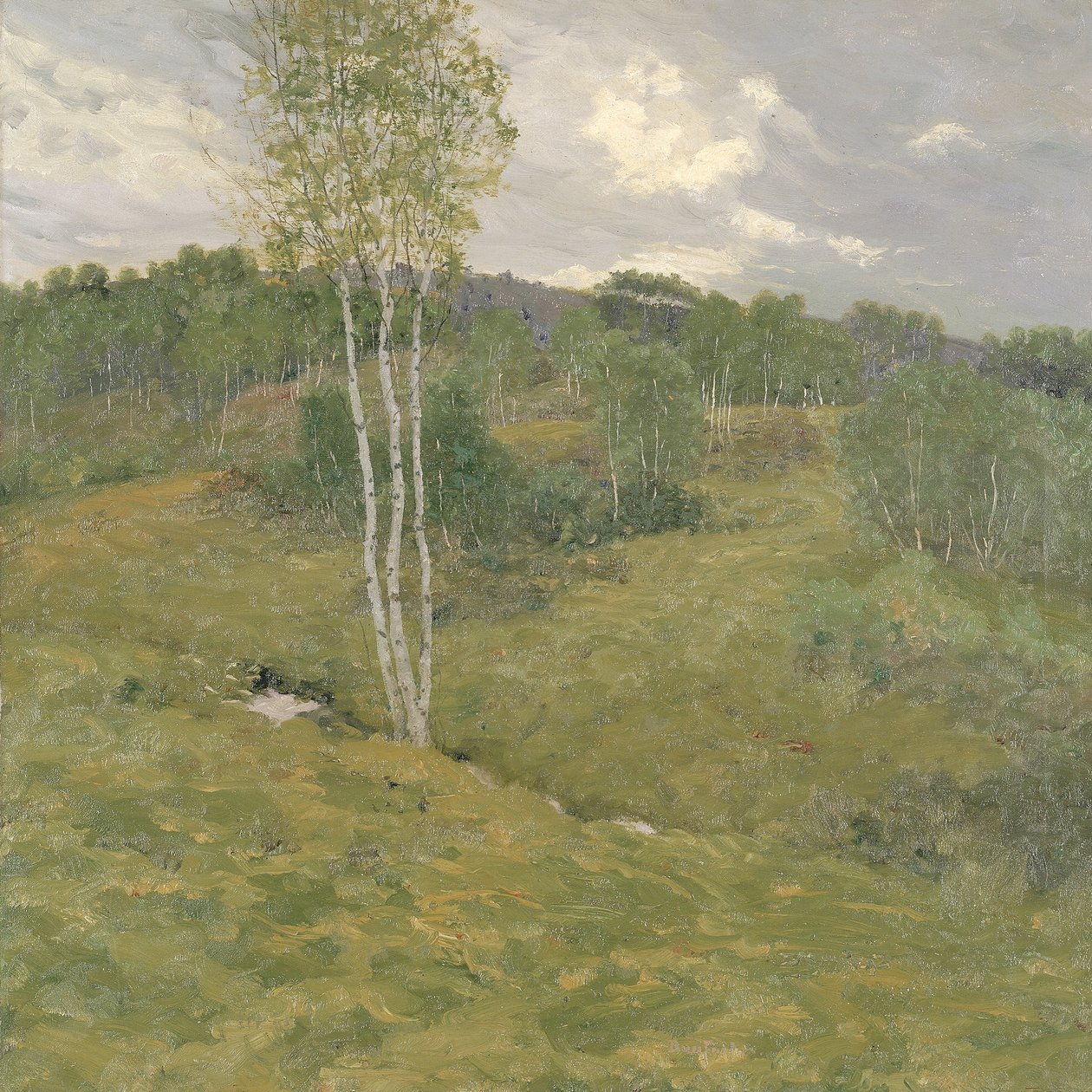Birkeklædte bakker, ca. 1908. af Ben Foster