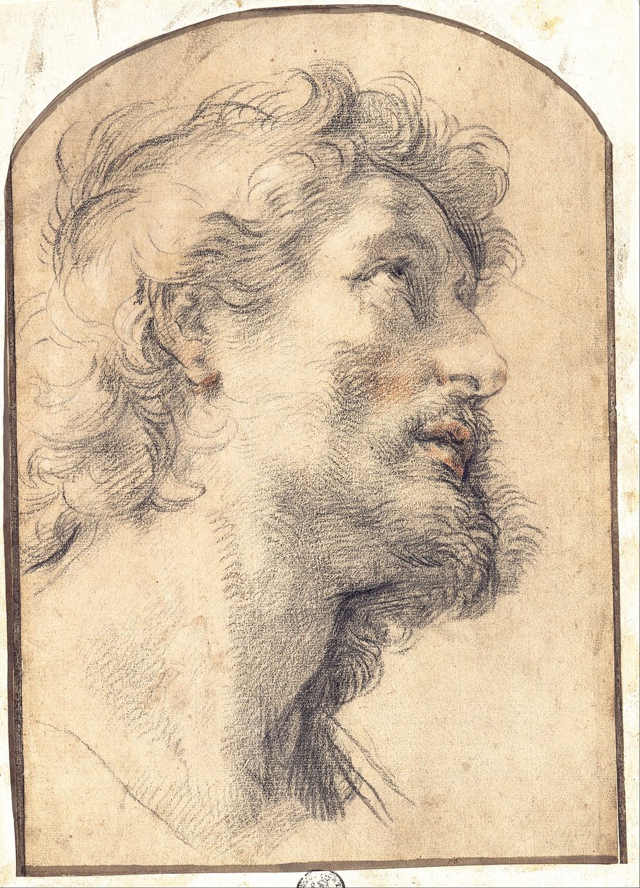 Undersøgelse af lederen af Saint Crispin af Benedetto Luti
