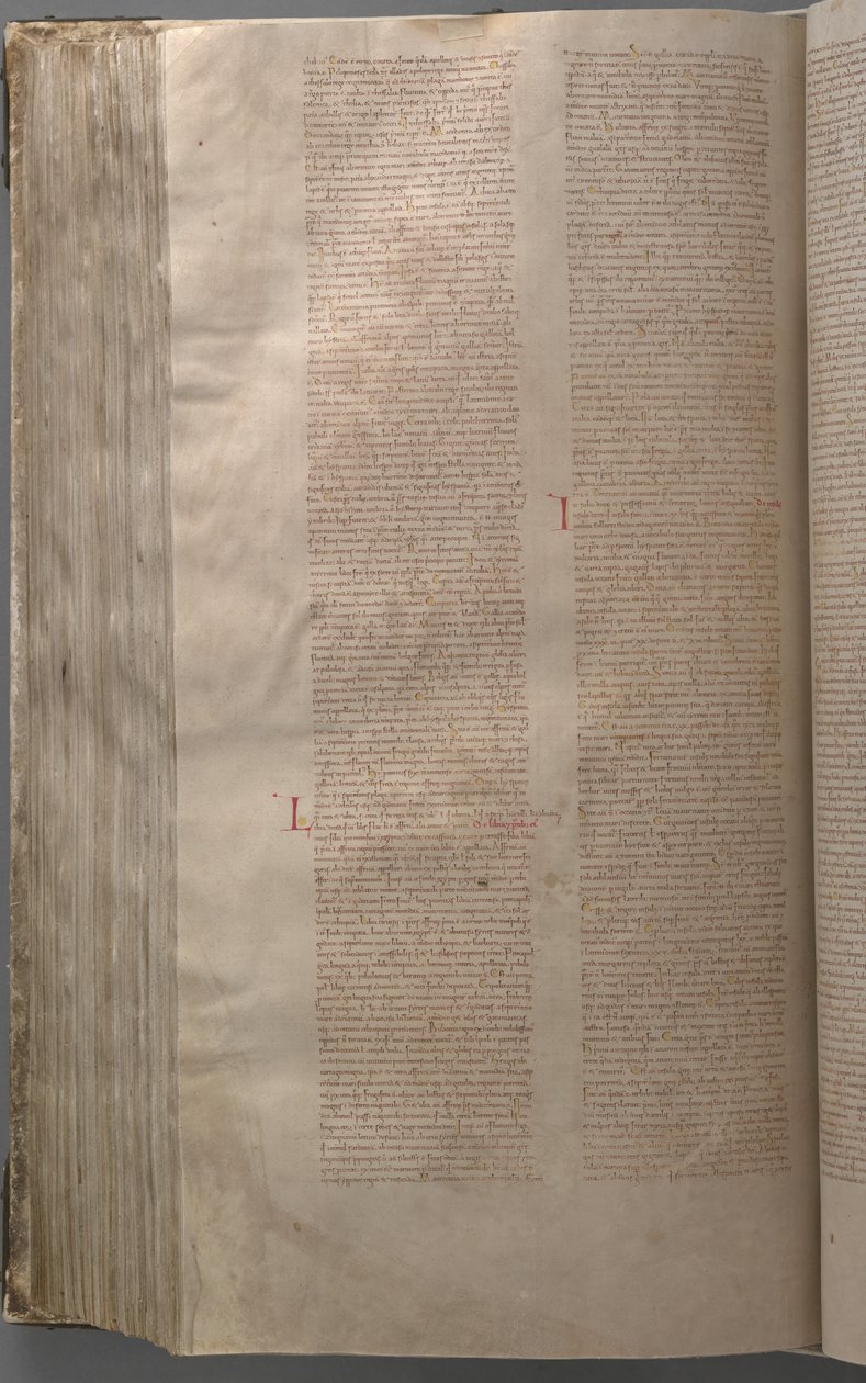 Codex Gigas af Benedictine monastery of Podlažice
